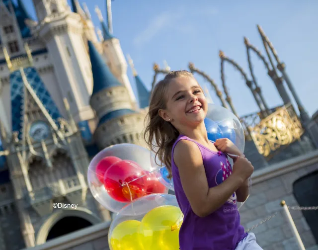 Theme Parks