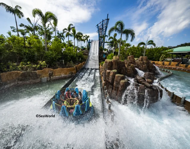 ATTRACTIONS